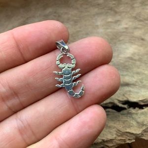 Scorpion Silver Pendant